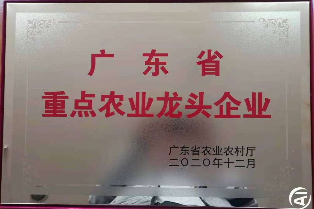 更上一层楼！追求无止境